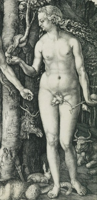 19. Albrecht Dürer, The Fall of Man (detail: Eve), engraving, 1504, Metropolitan Museum